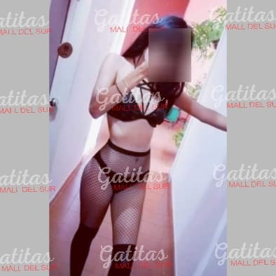 Esta imagen tiene el atributo alt vacío; su nombre de archivo es WhatsApp-Image-2021-09-30-at-9.09.17-PM.jpeg